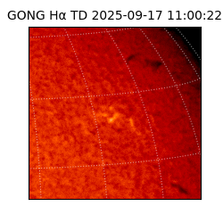 gong - 2025-09-17T11:00:22