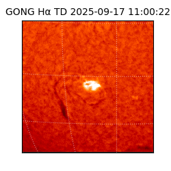 gong - 2025-09-17T11:00:22