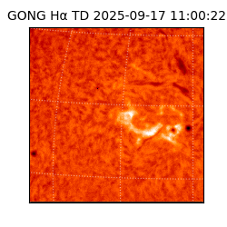 gong - 2025-09-17T11:00:22