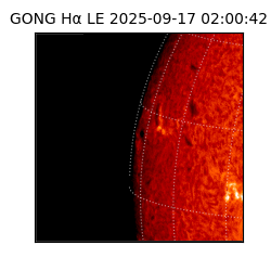gong - 2025-09-17T02:00:42