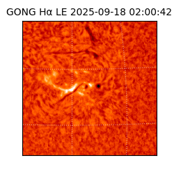 gong - 2025-09-18T02:00:42