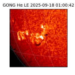 gong - 2025-09-18T01:00:42