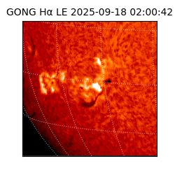 gong - 2025-09-18T02:00:42