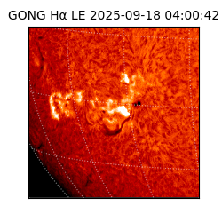 gong - 2025-09-18T04:00:42