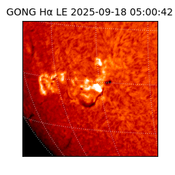 gong - 2025-09-18T05:00:42