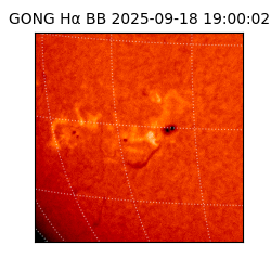 gong - 2025-09-18T19:00:02