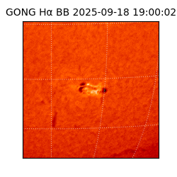 gong - 2025-09-18T19:00:02