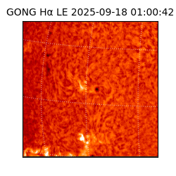 gong - 2025-09-18T01:00:42