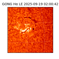 gong - 2025-09-19T02:00:42