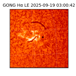 gong - 2025-09-19T03:00:42