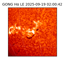 gong - 2025-09-19T02:00:42