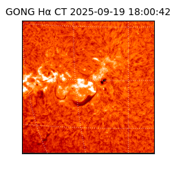gong - 2025-09-19T18:00:42