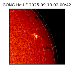 gong - 2025-09-19T02:00:42