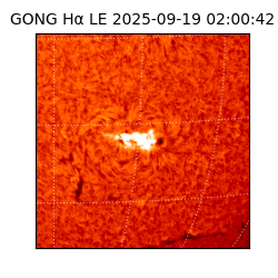 gong - 2025-09-19T02:00:42