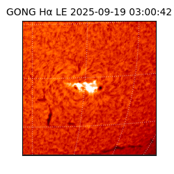 gong - 2025-09-19T03:00:42