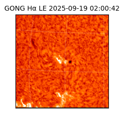 gong - 2025-09-19T02:00:42