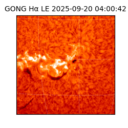 gong - 2025-09-20T04:00:42