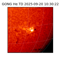 gong - 2025-09-20T10:30:22