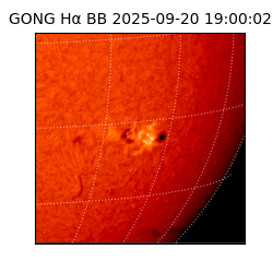 gong - 2025-09-20T19:00:02