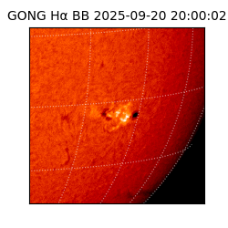 gong - 2025-09-20T20:00:02