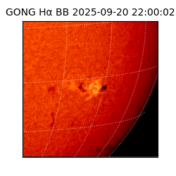 gong - 2025-09-20T22:00:02