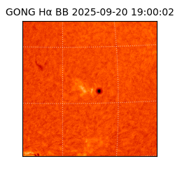 gong - 2025-09-20T19:00:02