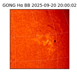 gong - 2025-09-20T20:00:02