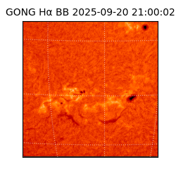gong - 2025-09-20T21:00:02