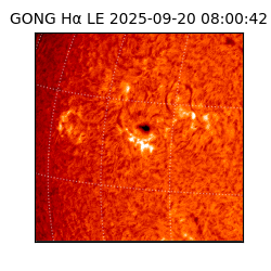 gong - 2025-09-20T08:00:42