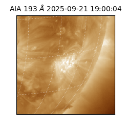 saia - 2025-09-21T19:00:04.843000