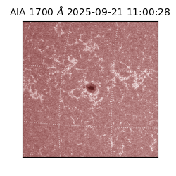 saia - 2025-09-21T11:00:28.717000