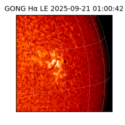 gong - 2025-09-21T01:00:42