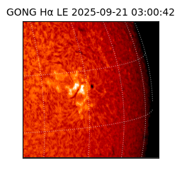 gong - 2025-09-21T03:00:42