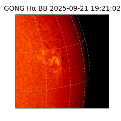 gong - 2025-09-21T19:21:02