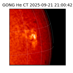 gong - 2025-09-21T21:00:42