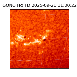 gong - 2025-09-21T11:00:22