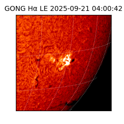 gong - 2025-09-21T04:00:42