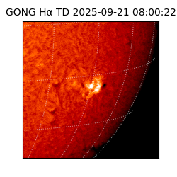 gong - 2025-09-21T08:00:22