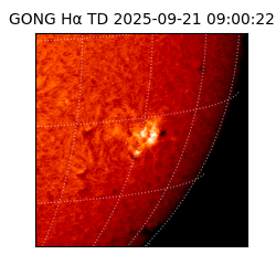 gong - 2025-09-21T09:00:22