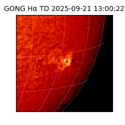 gong - 2025-09-21T13:00:22