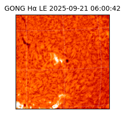 gong - 2025-09-21T06:00:42