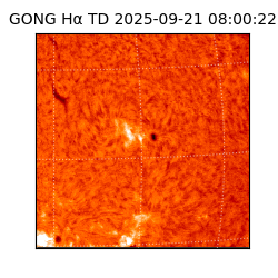 gong - 2025-09-21T08:00:22