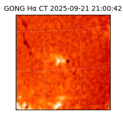 gong - 2025-09-21T21:00:42