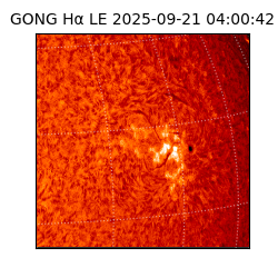 gong - 2025-09-21T04:00:42