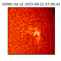 gong - 2025-09-21T07:00:42