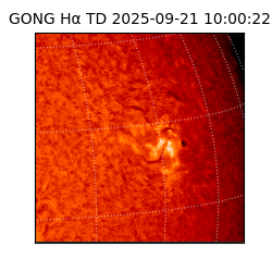 gong - 2025-09-21T10:00:22