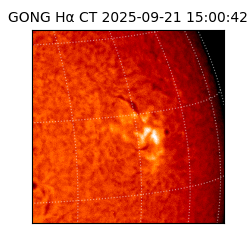gong - 2025-09-21T15:00:42