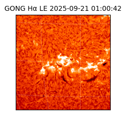 gong - 2025-09-21T01:00:42