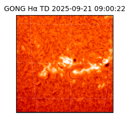 gong - 2025-09-21T09:00:22