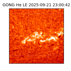 gong - 2025-09-21T23:00:42